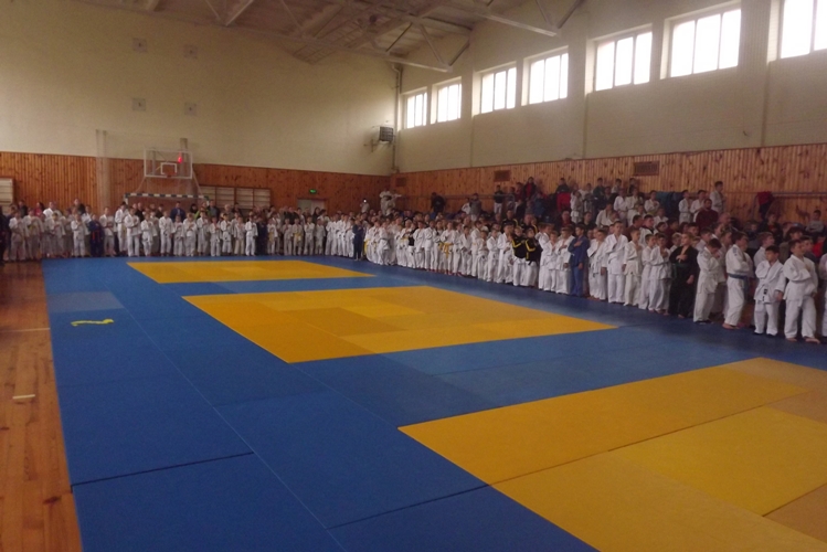 260 представників шкіл дзюдо змагались у Ковелі