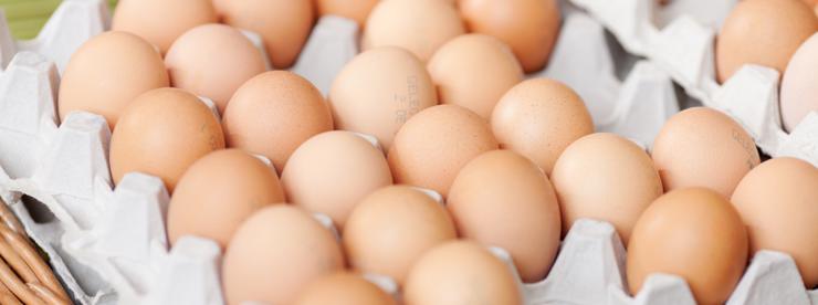 Як вибрати яйця?