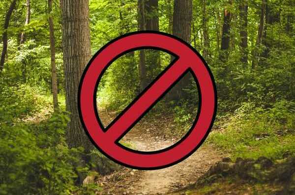 До уваги жителів громади: тимчасово заборонено відвідування лісових масивів