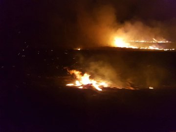 У Ковелі намагаються загасити пожежу на полі