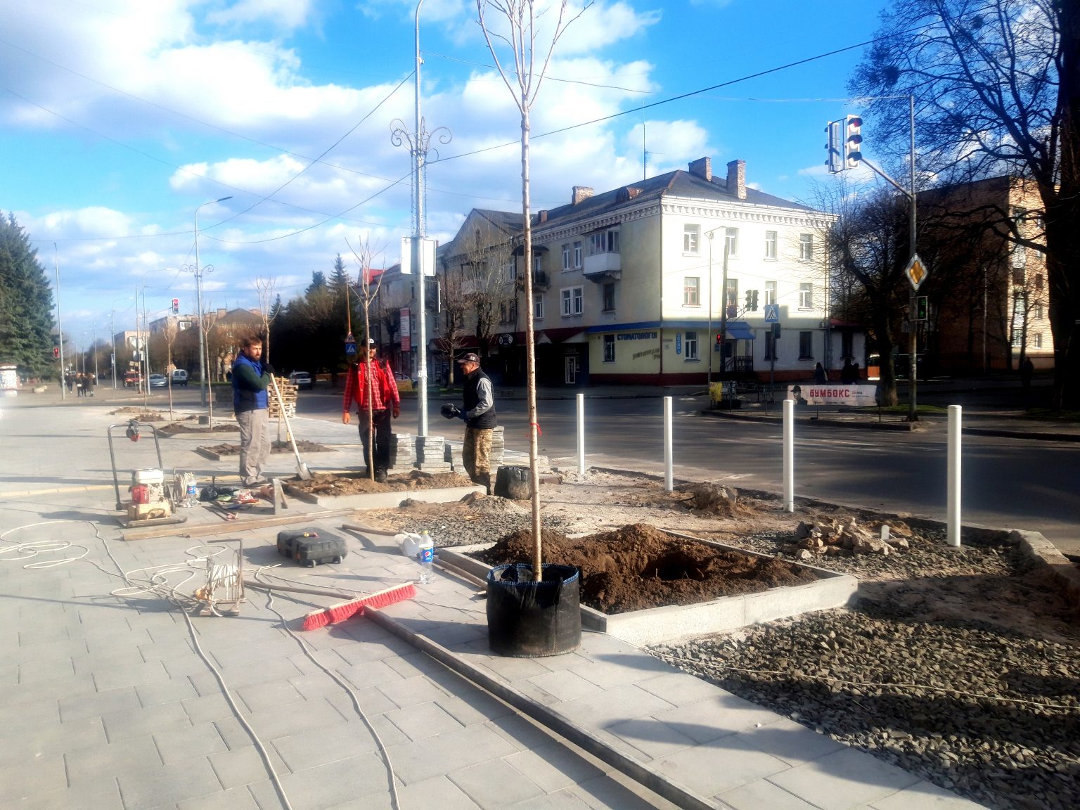У Ковелі продовжують висаджувати сакури